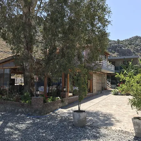 Hidayetin Yeri السليمية