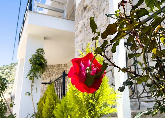 Hidayetin Yeri فندق 3*