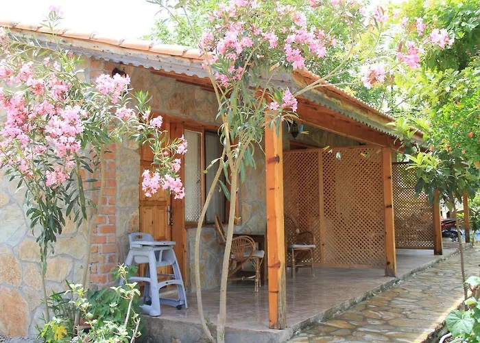 Hidayetin Yeri السليمية